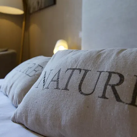 Hotellerie Du Hotel
